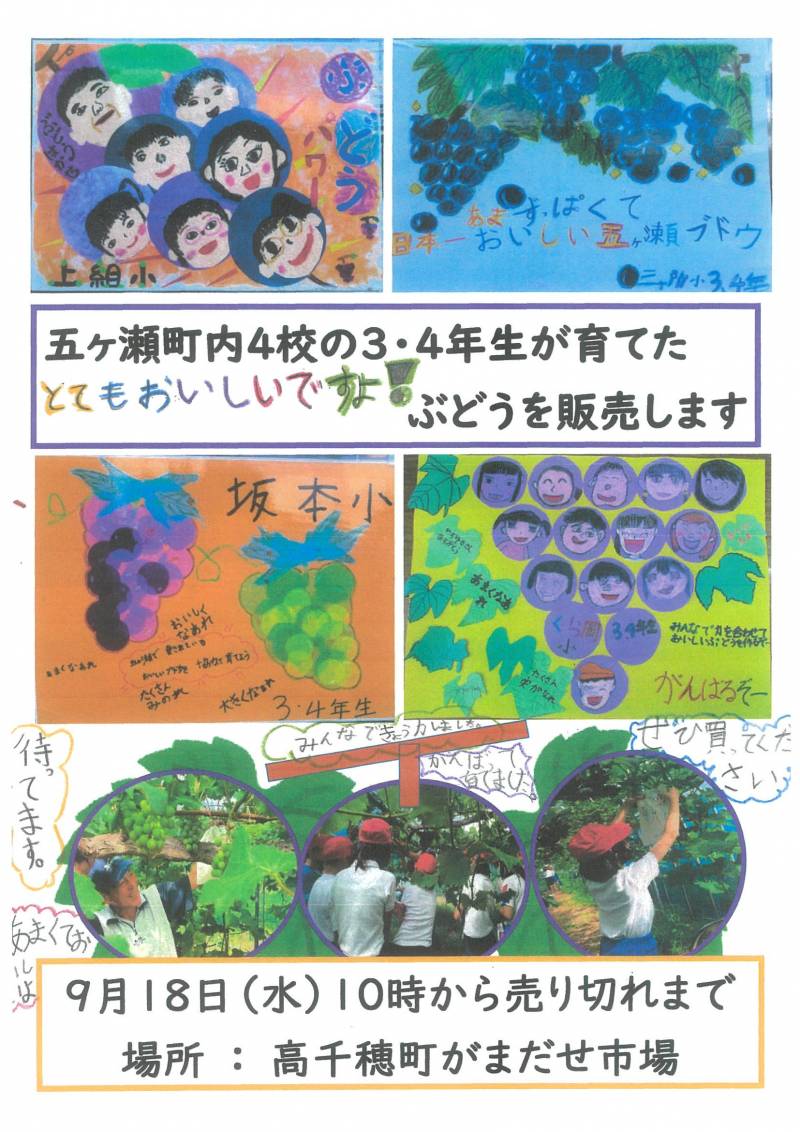 9月18日（水）10時～。高千穂町がまだせ市場でぶどう販売♪